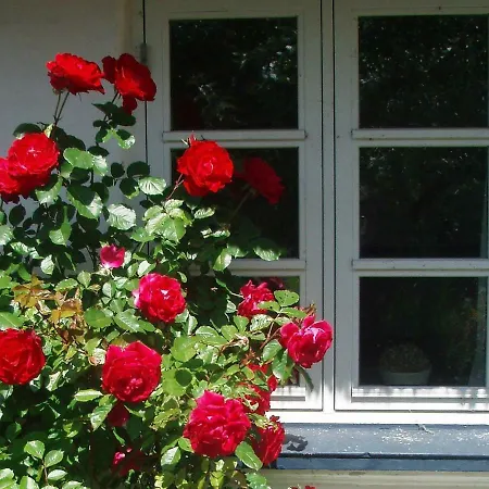 Tatil Evi Two-bedroom Holiday In Marstal